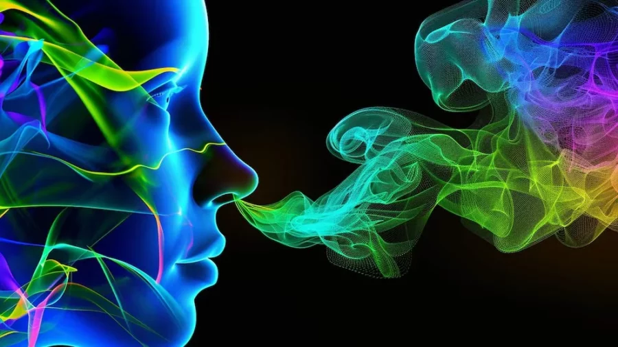 La hiposmia se asoció a una mayor riqueza bacteriana nasal, resultado replicado en un conjunto de datos externos, afirmaron los investigadores La hiposmia se asoció a una mayor riqueza bacteriana nasal, resultado replicado en un conjunto de datos externos, afirmaron los investigadores