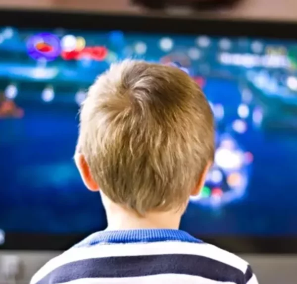 El Senado creó una comisión para estudiar el proyecto de ley.