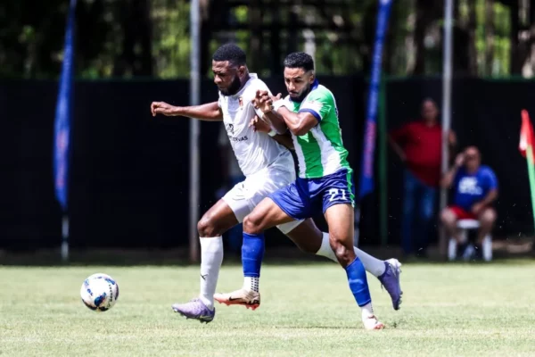 ACCION CIBAO -DELFINES 2