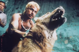 Amores Perros