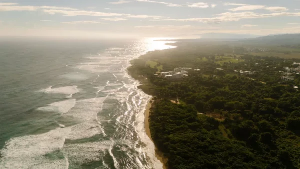 DJI_20241215091701_0184_D (1)