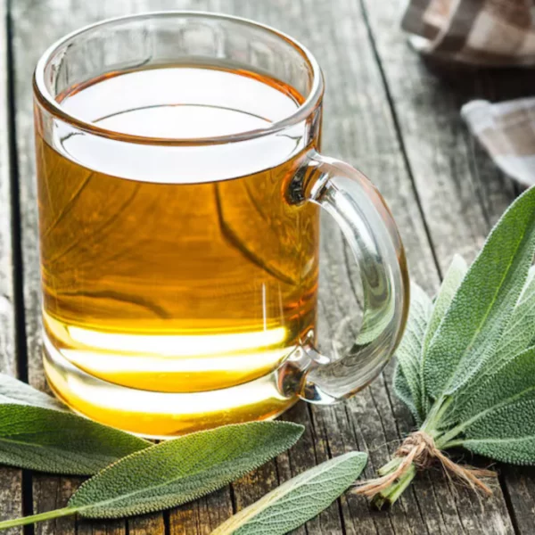 Diseño sin título – 2025-05-09T195818.256