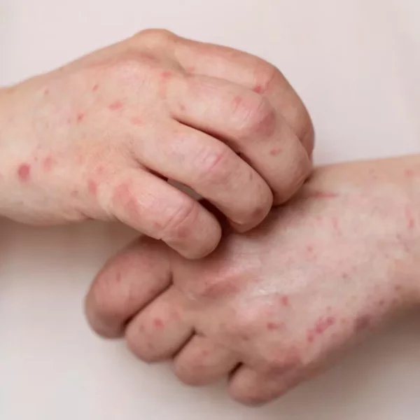 Diseño sin título – 2025-05-15T214134.633