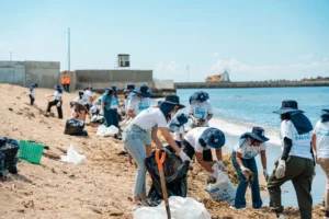Dominicana de Seguros impulsa jornada de limpieza en la playa Montesinos.