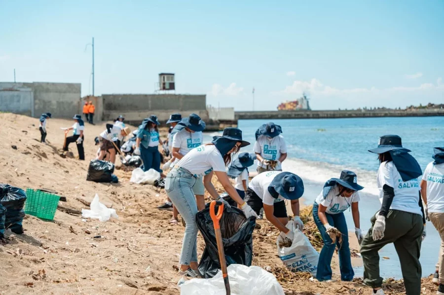 Dominicana de Seguros impulsa jornada de limpieza en la playa Montesinos. Dominicana de Seguros impulsa jornada de limpieza en la playa Montesinos.