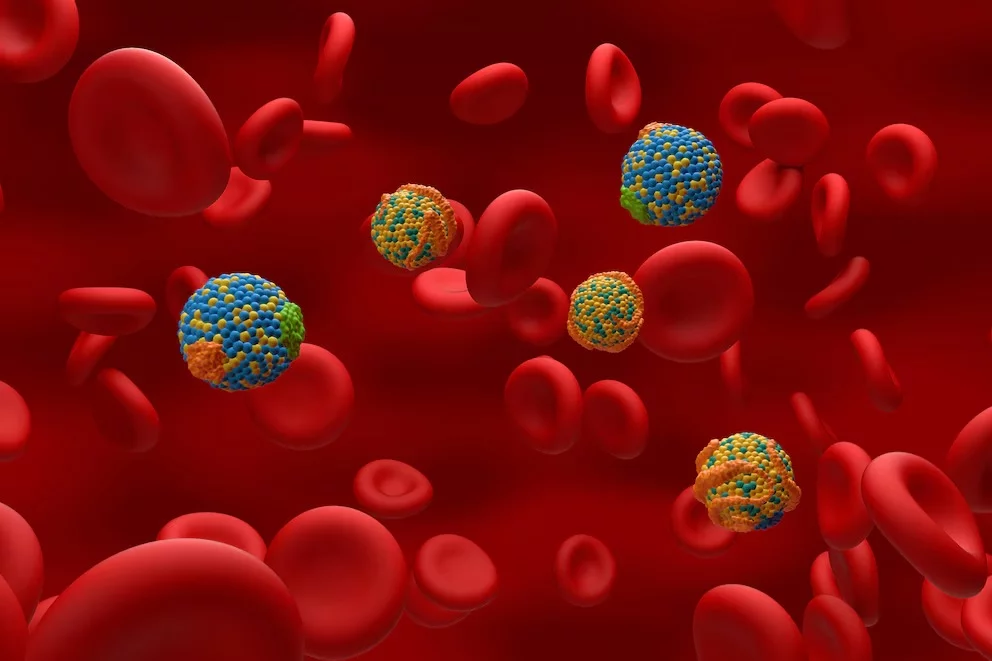Globulos rojos (2)