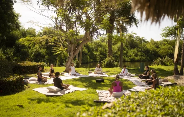 Hay diversas actividades y programas de yoga y relajación.