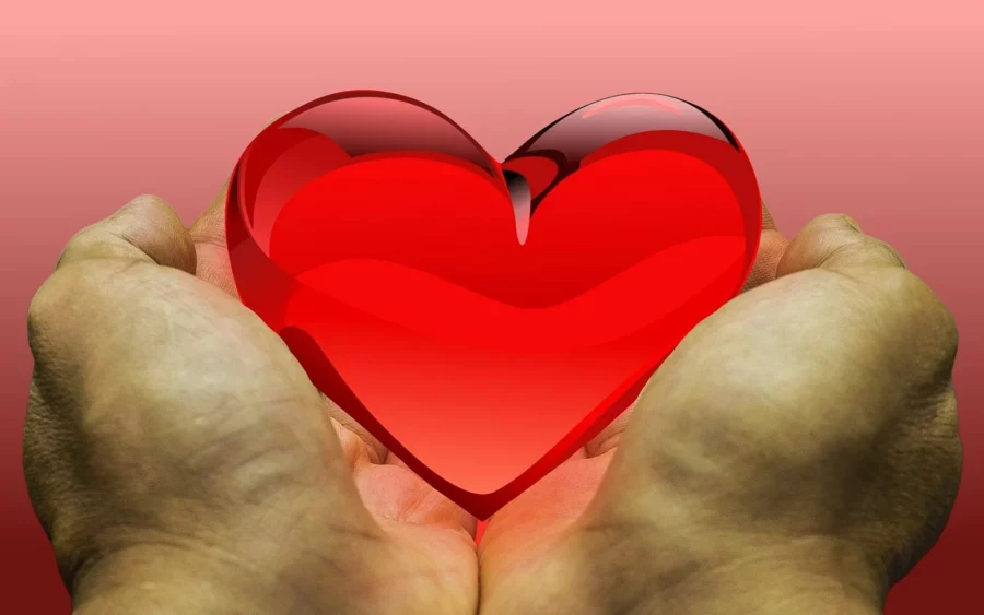 La gratitud y felicidad: Un enfoque integral desde la perspectiva judeocristiana. Imagen de Wagner en Pixabay La gratitud y felicidad: Un enfoque integral desde la perspectiva judeocristiana. Imagen de Wagner en Pixabay