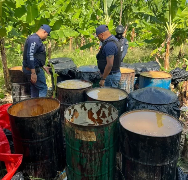 Incautan clerén en Navarrete