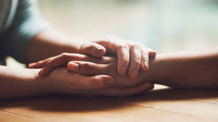 Se hace necesario una guía para las cuidadoras y sus familias. Se hace necesario una guía para las cuidadoras y sus familias.