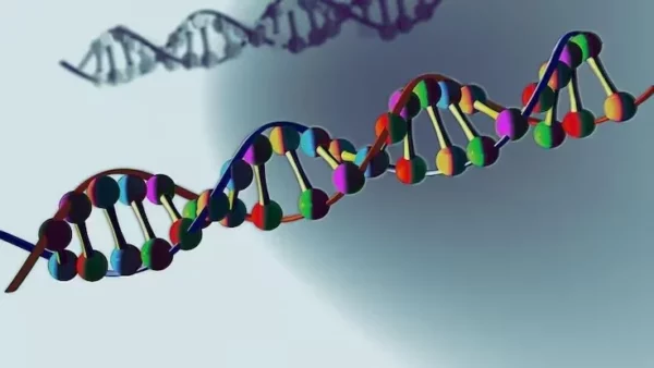 El síndrome 22q11: el trastorno genético poco conocido que impacta miles de vidas y merece ser visibilizado