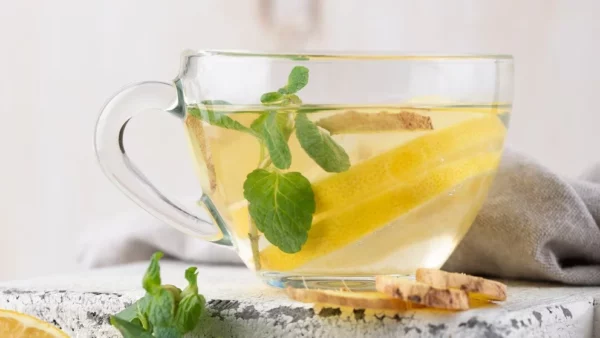 Té de ginkgo: beneficios respaldados por la ciencia