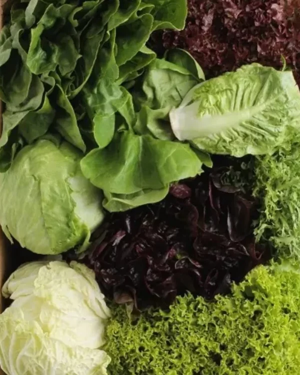 Se encuentra en diversos alimentos de varios grupos nutricionales.