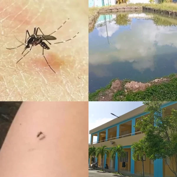 Los comunitarios de la zona piden a las autoridades una jornada de fumigación. Fuente externa