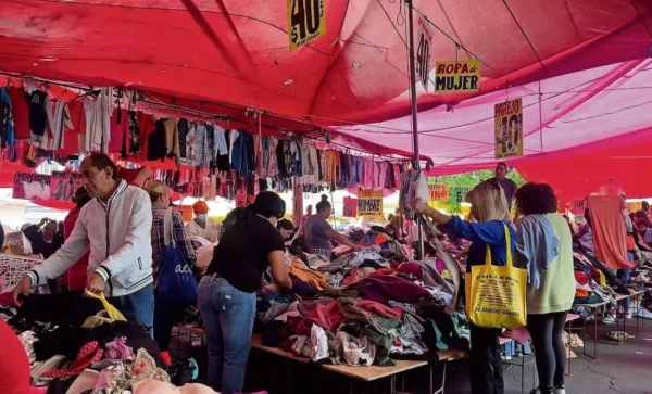 WhatsApp Image 2025-05-10 at 6.53.27 AM