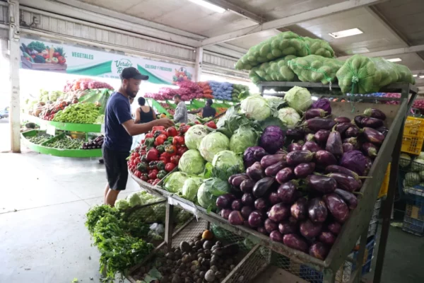 WhatsApp Image 2025-05-11 at 11.01.45 AM (2)