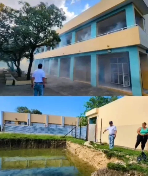 La plaga de mosquitos estaba afectando la docencia. Fuente externa