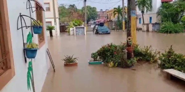 WhatsApp Image 2025-05-16 at 2.51.27 PM