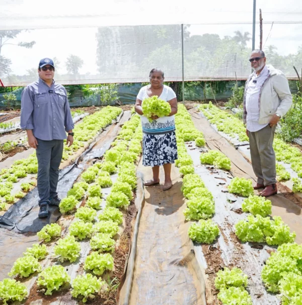 FAO y Desarrollo de la Comunidad