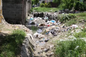 Roedores y basura reinan en cañada Solares del Remanso, Villa Mella a 20 años de espera por arreglo