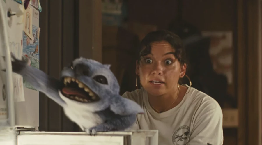 ‘Lilo & Stitch’ ‘Lilo & Stitch’