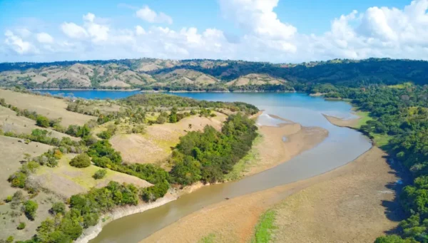 Abinader encabeza siembra de 3,200 plantas endémicas en la cuenca del río Yaque del Norte