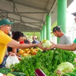 Así afectará a productos en RD guerra Medio Oriente