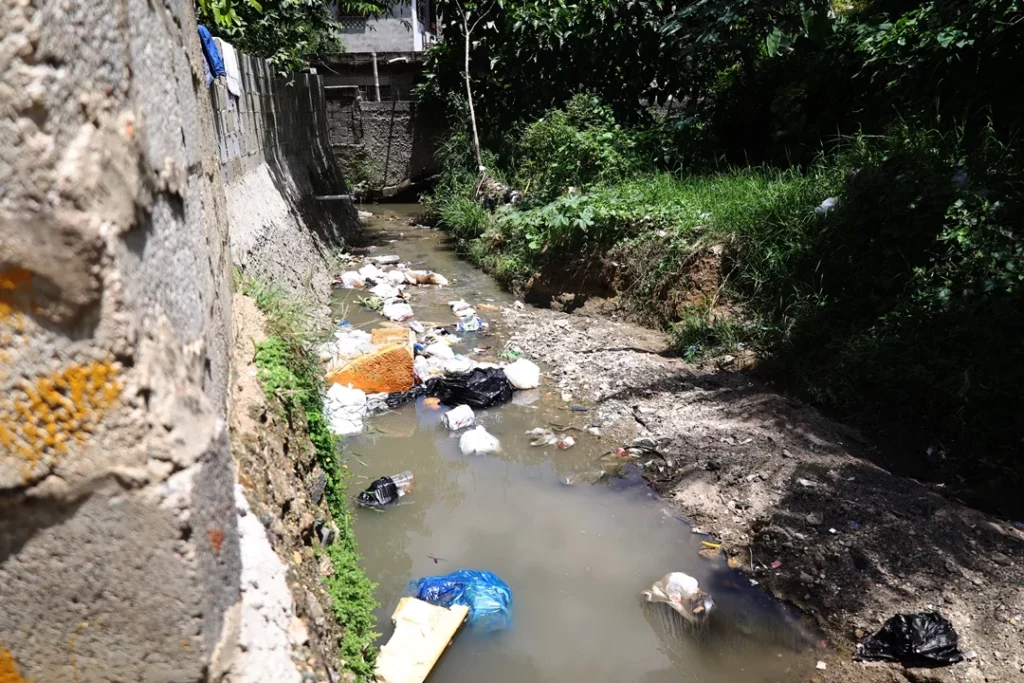 Roedores y basura reinan en calle el Remanso de Villa Mella a 20 años de espera por arreglo
