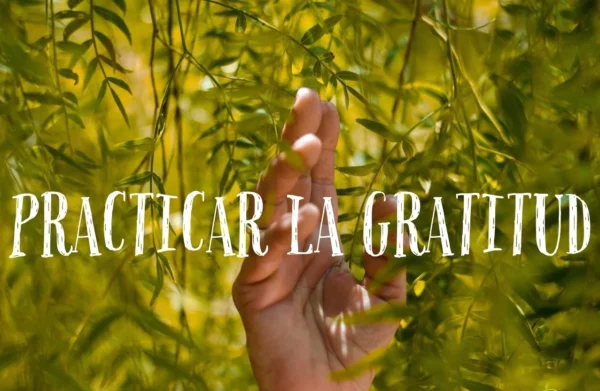 La gratitud es el mejor camino hacia el bienestar