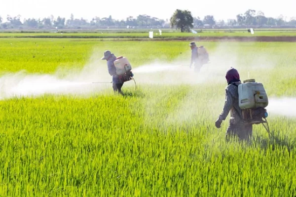 producto_Agroquimicos 1