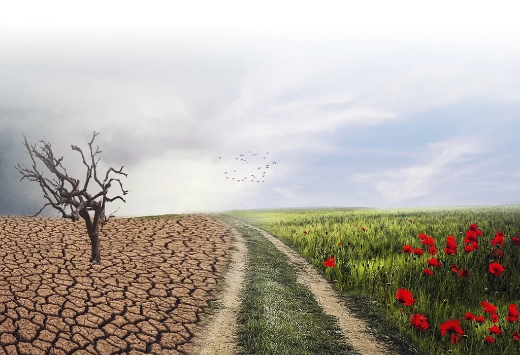 cambio climático