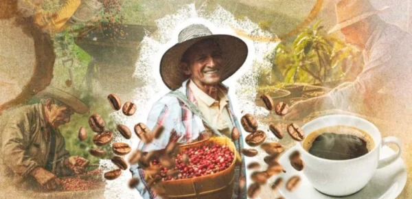 En 2024,  Colombia  alcanzó una producción estimada de 13.6 millones de sacos de 60 kilos.