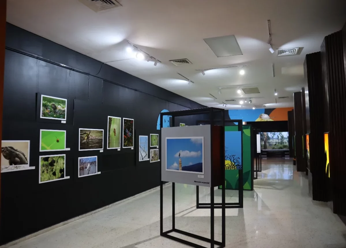 Los jóvenes capturan imágenes que evidencian su aprecio y sensibilidad hacia la fauna local.