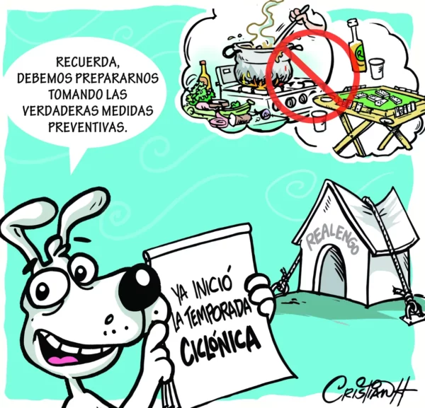 el carrusel de la vida