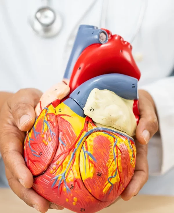 Muchos factores pueden llevar a altos niveles de LDL.