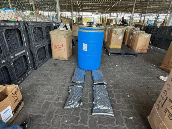 Alijo marihuana ocupado en Haina Oriental