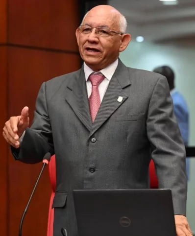 Bernardo Alemán. Fuente externa