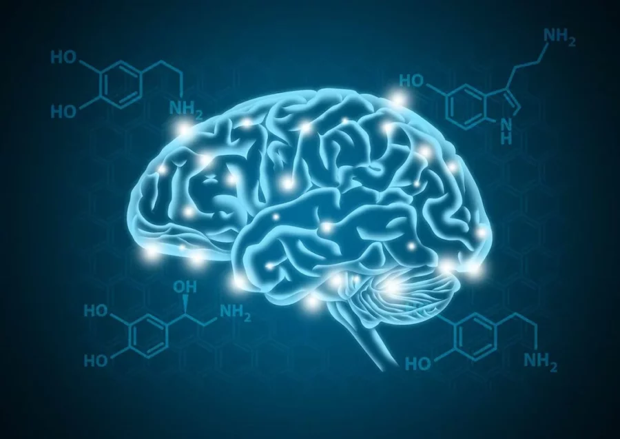 Buscan estimular la dopamina una hormona y neurotransmisor cerebral.