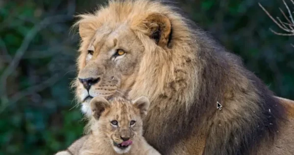 Captura de Pantalla 2025-06-15 a la(s) 7.39.49 p. m.