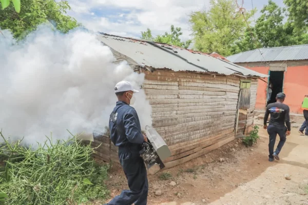 DGDC realizó fumigaciones con productos no tóxicos para erradicar plagas y prevenir enfermedades