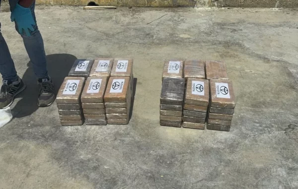 DNCD 60 paquetes más SPM