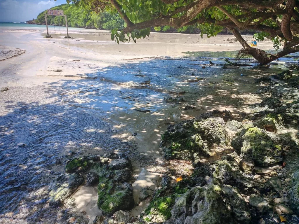 Ojo de agua en Playa El Diamante