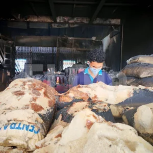 Merca Santo Domingo: Comerciantes piden auxilio tras incendio que destruyó la nave principal