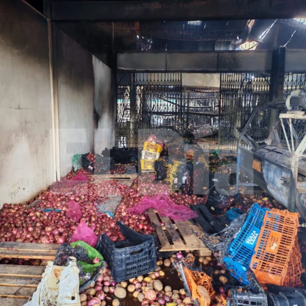 Diseño sin título (6)