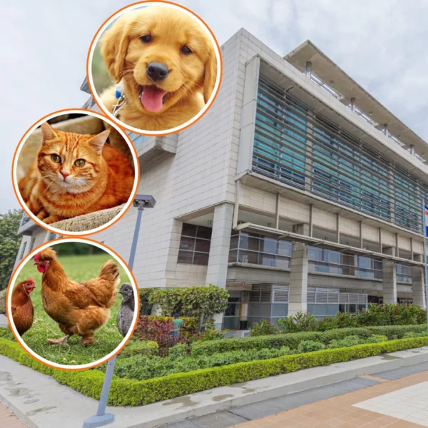 Diseño sin título (73)