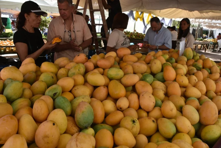 Expo Mango 2025 (2) Expo Mango 2025 (2)