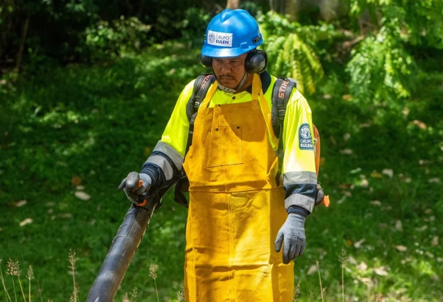 Hombre da mantenimiento a areás verdes Hombre da mantenimiento a areás verdes