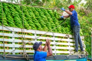 Más de 800 mil beneficiarios con feria de Inespre por las Madres