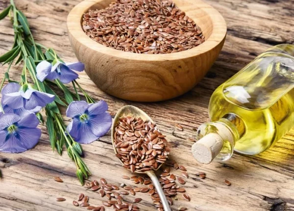 La linaza es la semilla de la planta del lino (Linum usitatissimum)