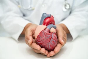 Los investigadores se centraron en una proteína presente en las células cardíacas